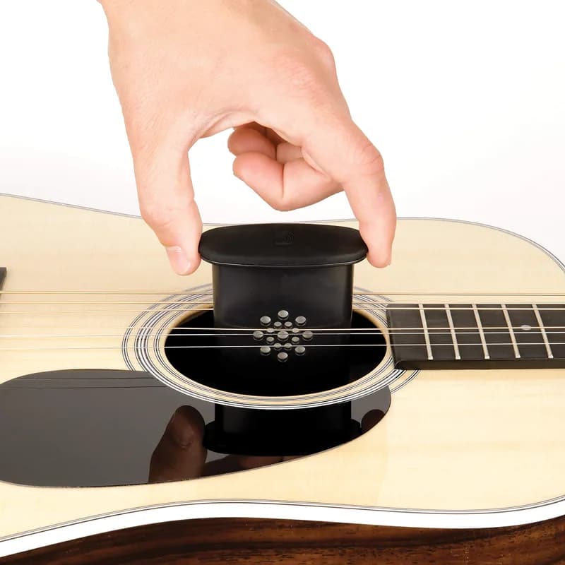 Guitar humidifier