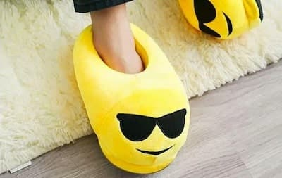 Funny Socks or House Slippers