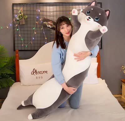 Cuddle Pillow