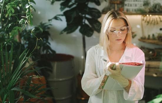 Gift Ideas for an Ecologist