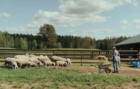 Practical Gifts for Farmers Who Put in Long Days