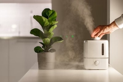 Humidifier