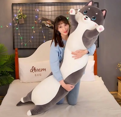 Cuddle Pillow